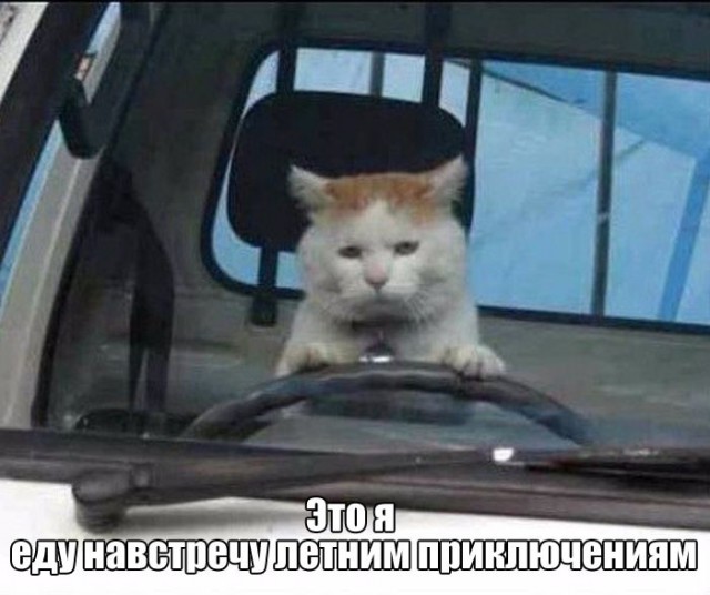 Абсурдный юмор