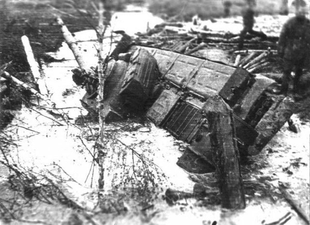 Запад-81. Дневники лейтенанта-взводного.