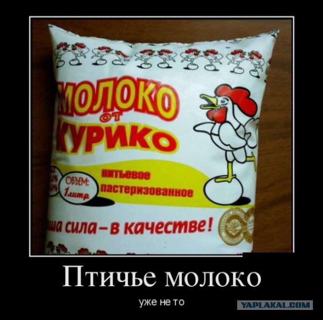 Сборная солянка картинок из разных соц.сетей