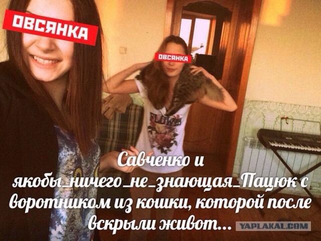 Живодерки из Хабаровска