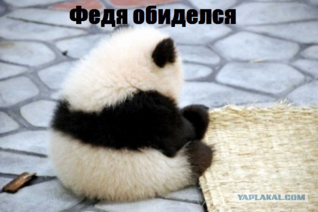 World of Warships - 5