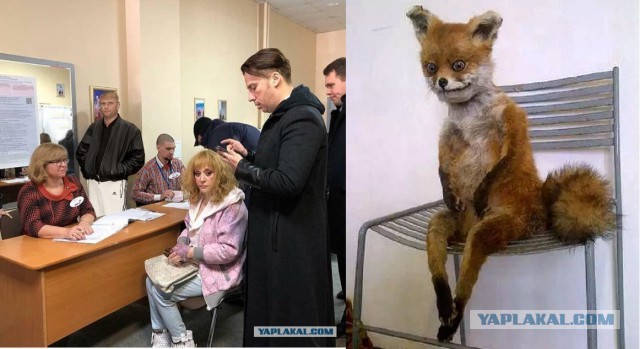 Видеотрансляция выборов 2018