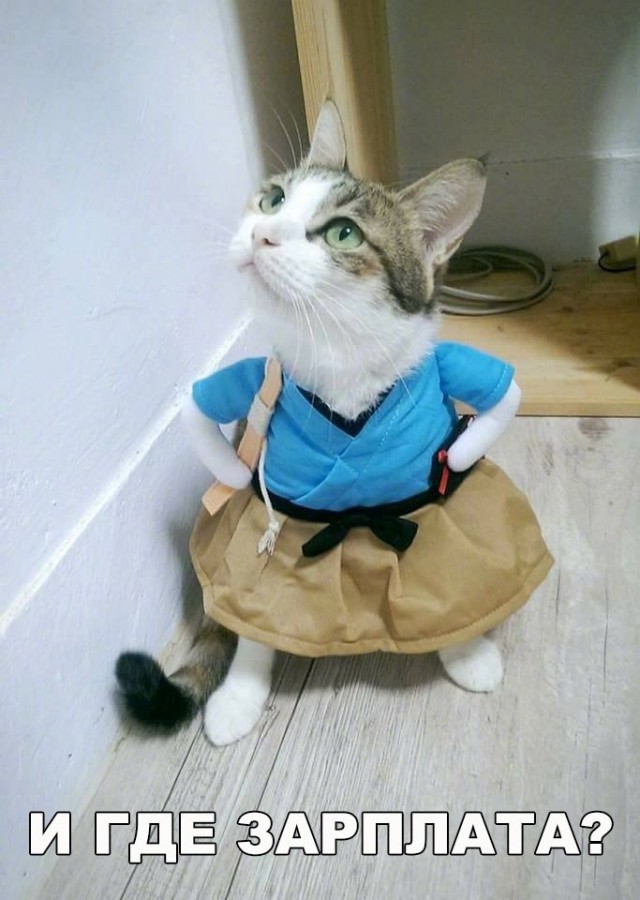 Нестандартный юмор