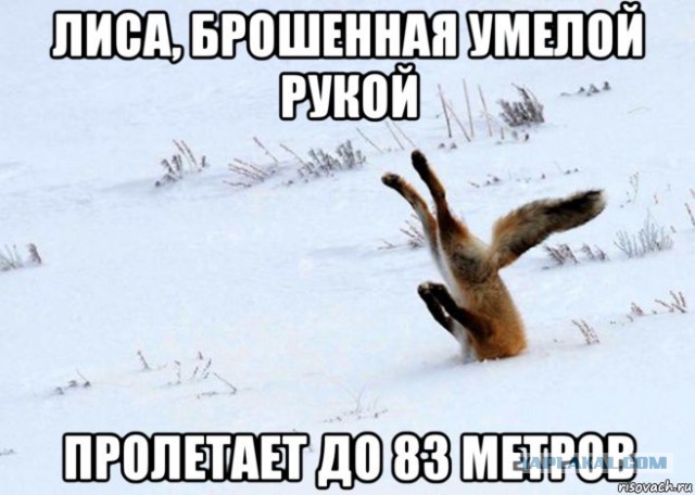 Смешные комментарии из социальных сетей 24.08.2018