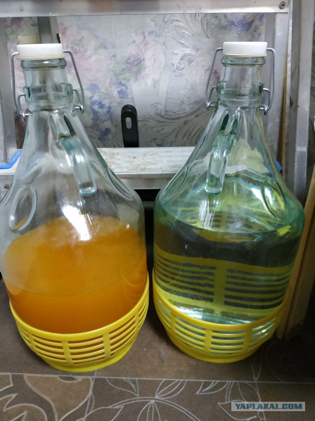 Почему мужчина обязан отдавать зарплату жене?