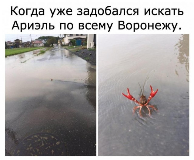 Немного картинок для настроения