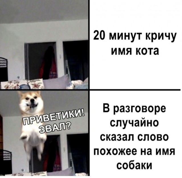 Немного картинок для настроения