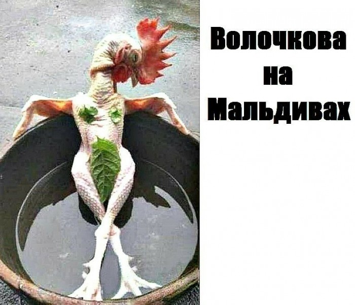 Так, что тут у нас происходит?