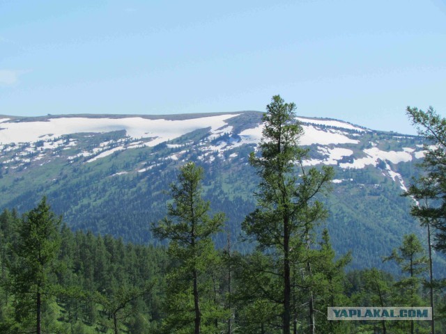 Воскресный завтрак