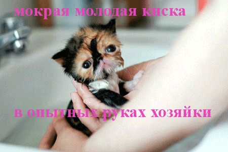 Шокирующее ПОРНО! 21+ фото