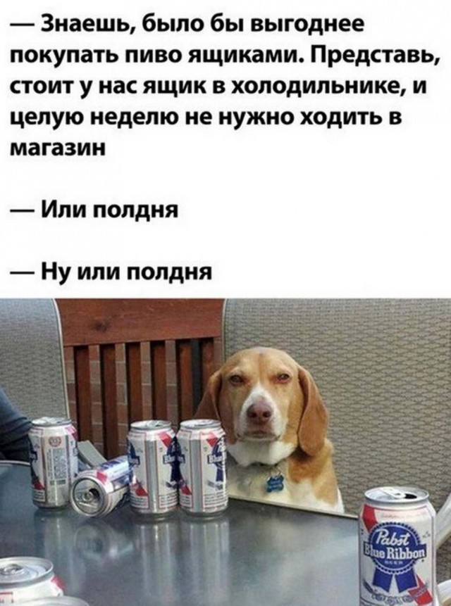 Алкопост 19.09.20