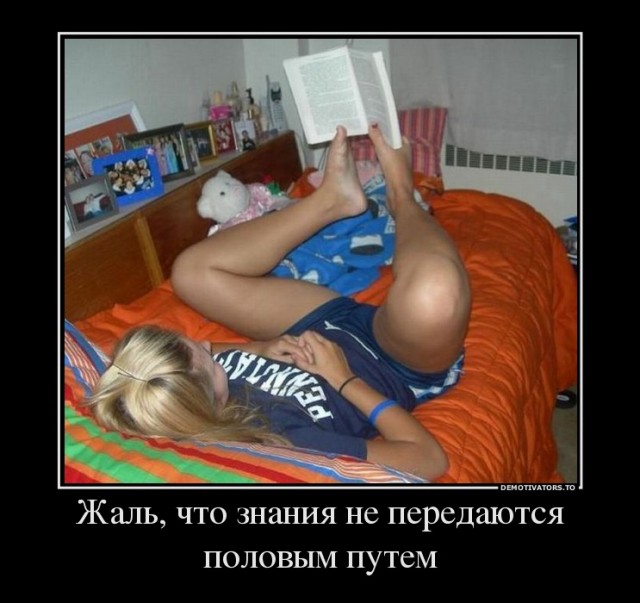 Веселые истории о нас №147