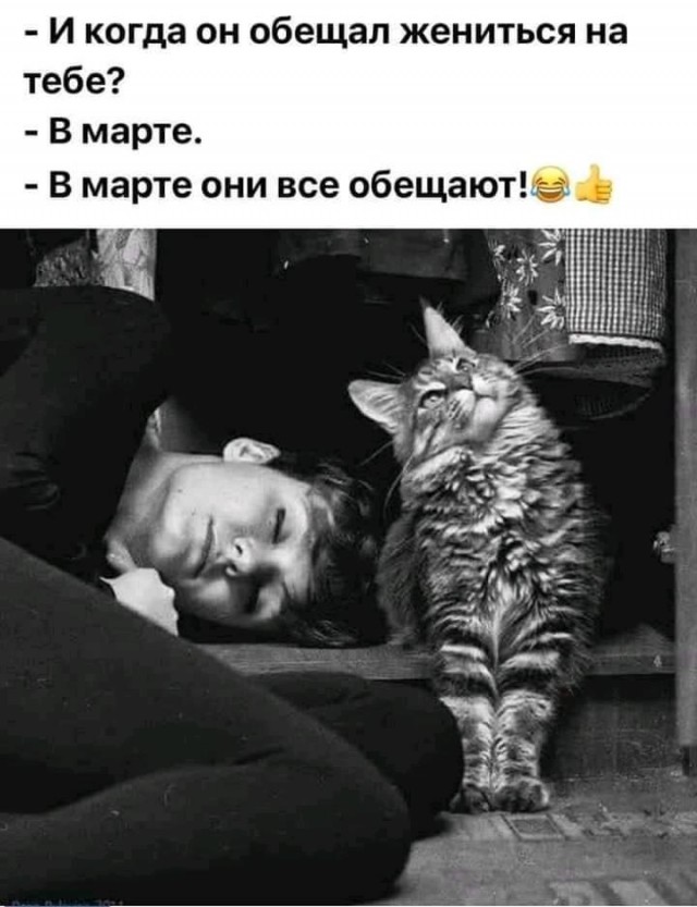 Картинки о животных, прямо и косвенно