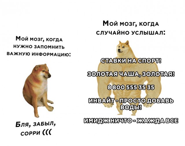 Весёлый полтишок 16.03