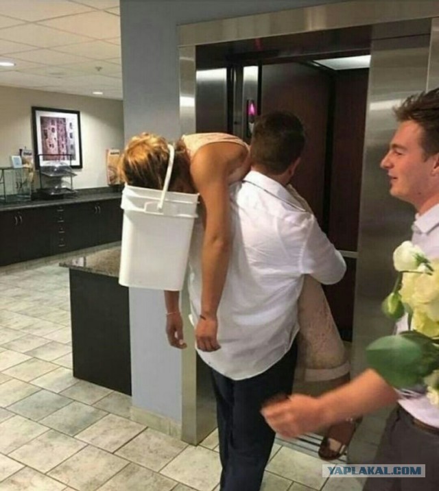 Идиотские картинки