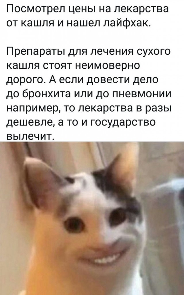 Картинки и мемы для настроения 029