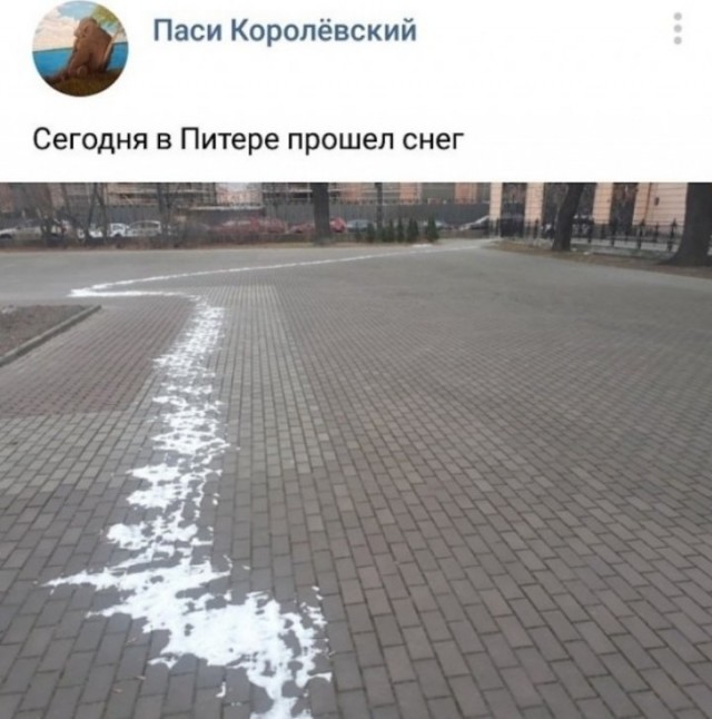 Картинки и мемы для настроения 11.11.2021