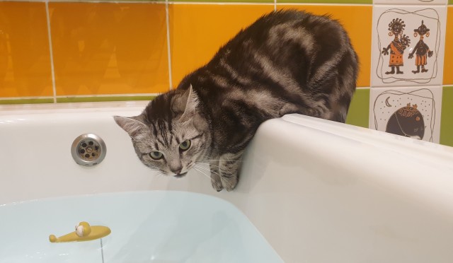 Котовторниковское