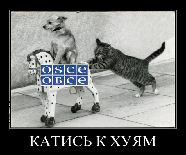 Миссия ОБСЕ покидает Донецк