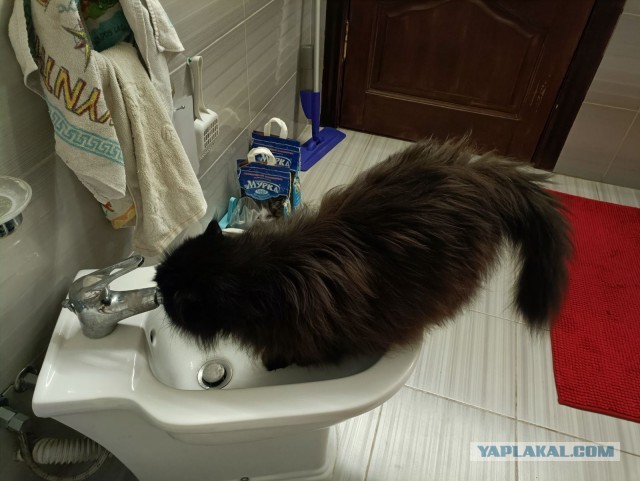 И снова чернуха