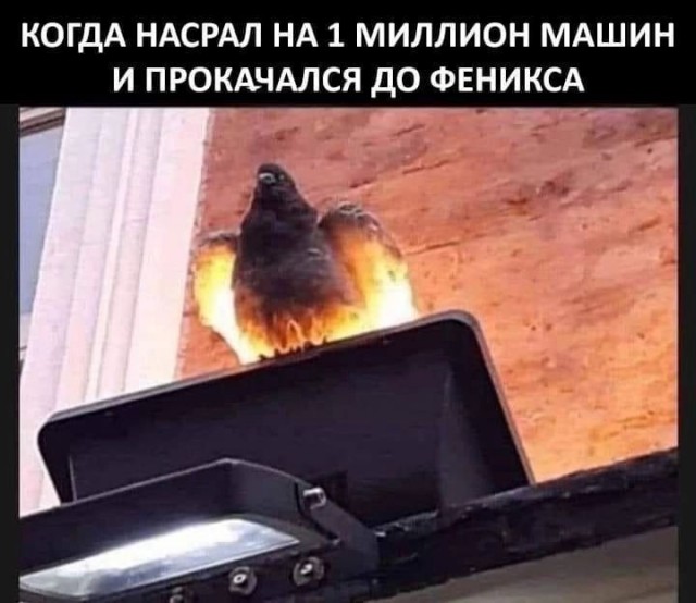 Так себе картинки 11.06.22