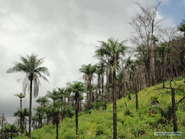 Путешествие в Сьерра-Леоне