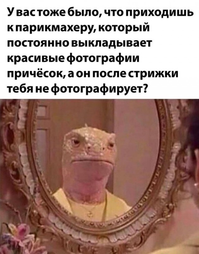 Картинки и мемы, всем хороших выходных