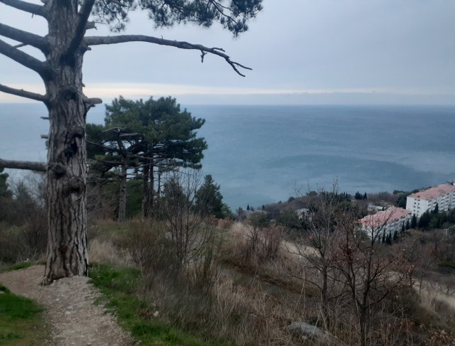 Зимняя Евпатория