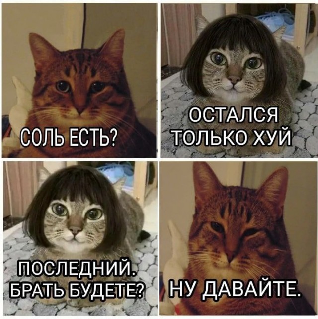 Года на солях мем соль дома кончается, Мем Ванга (цвет) Рисовач .Ру