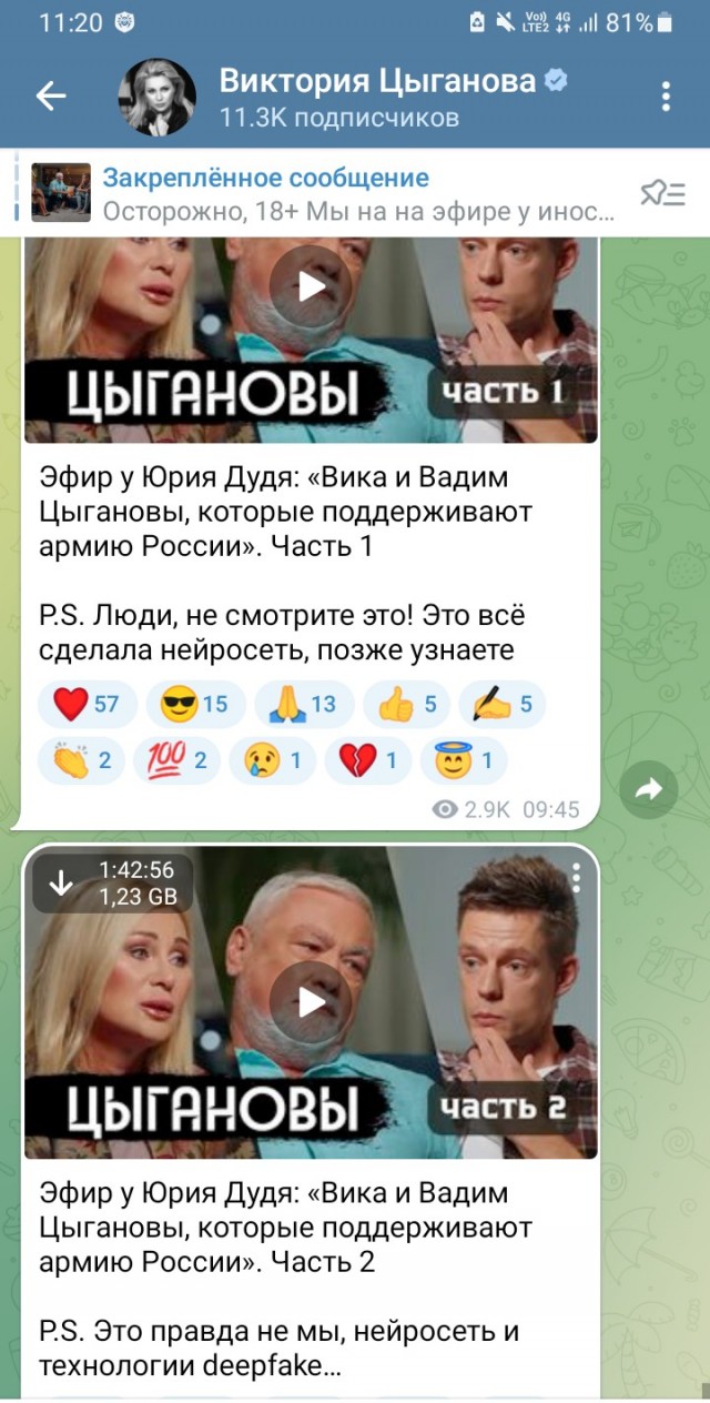 "Это все нейросеть" - Цыгановы призвали не смотреть интервью