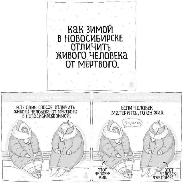 Не много весёлых картинок