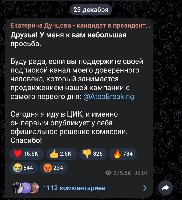 ЦИК отказался регистрировать кандидатом в президенты Екатерину Дунцову