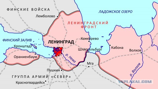 Сегодня важнейшая дата для Петербурга и страны: 81 год со дня полного освобождения Ленинграда от фашистской блокады
