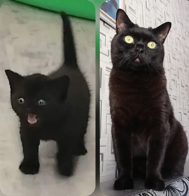 Сквозь время