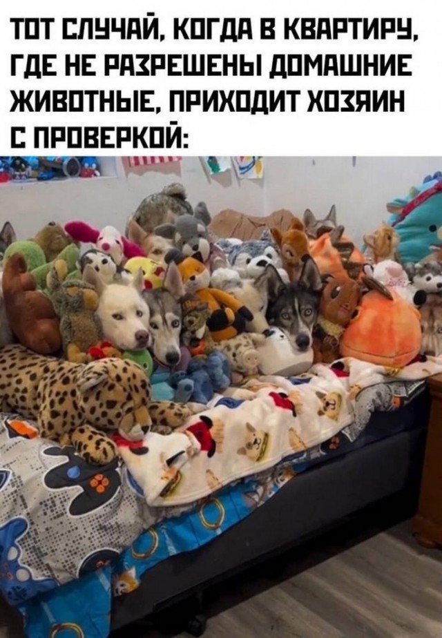 Посмеялся сам - поделись с другом!!!
