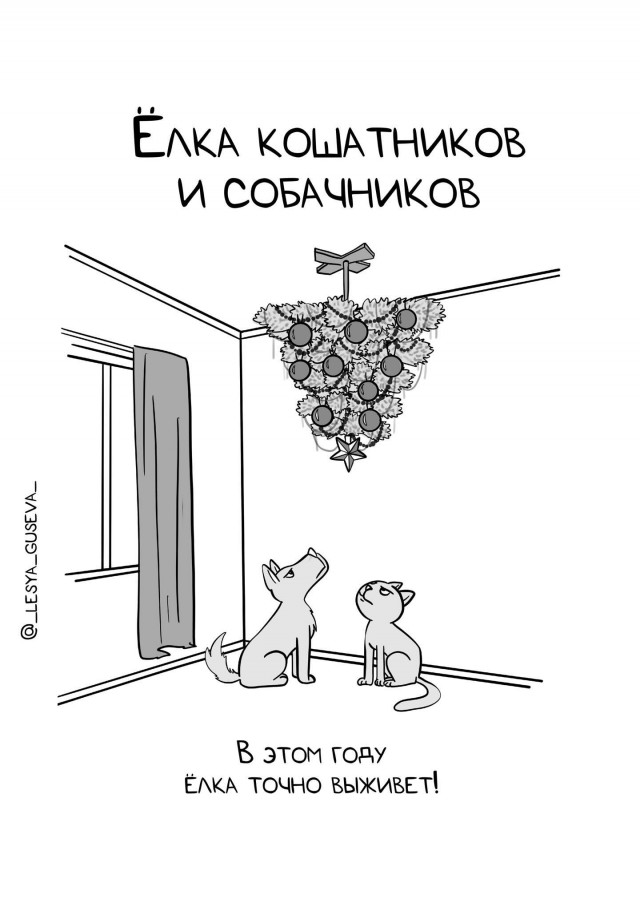 А какая ёлка стоит у вас в этом году?