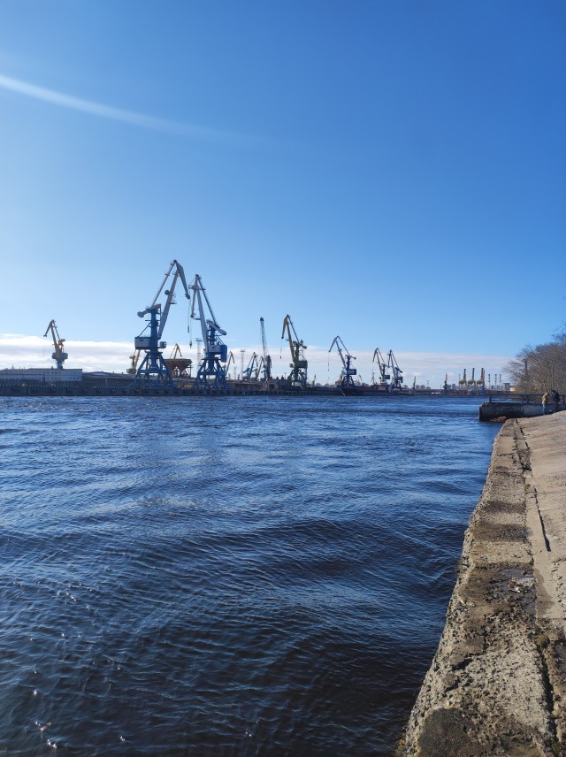 Шарит. Батя воспитывал