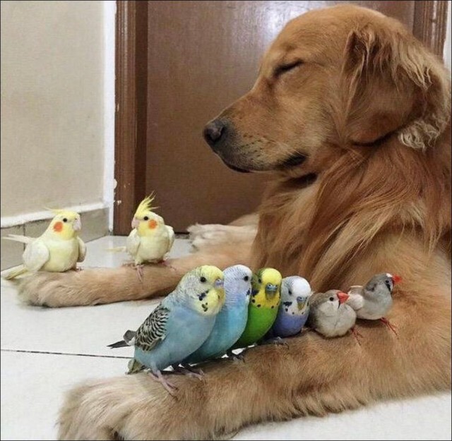 ФотоВинегрет