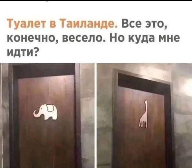 20253080.jpg