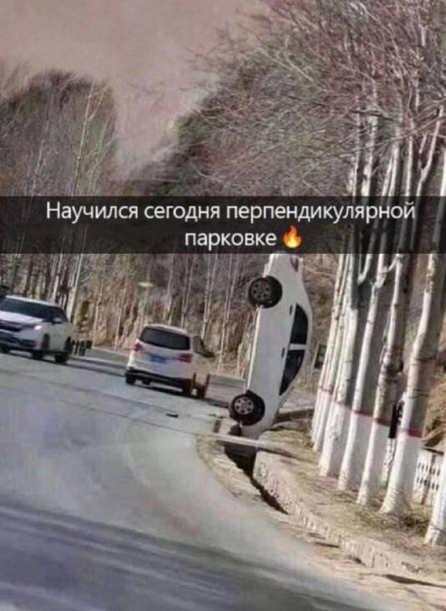Так себе картинки 10.08.25