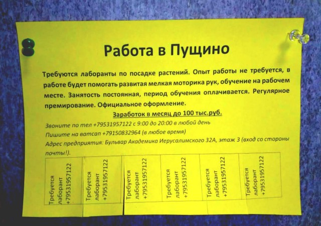 Российский капитализм во всей красе. Что с вас потребуют за среднюю зарплату, стоит немного выехать из Москвы.
