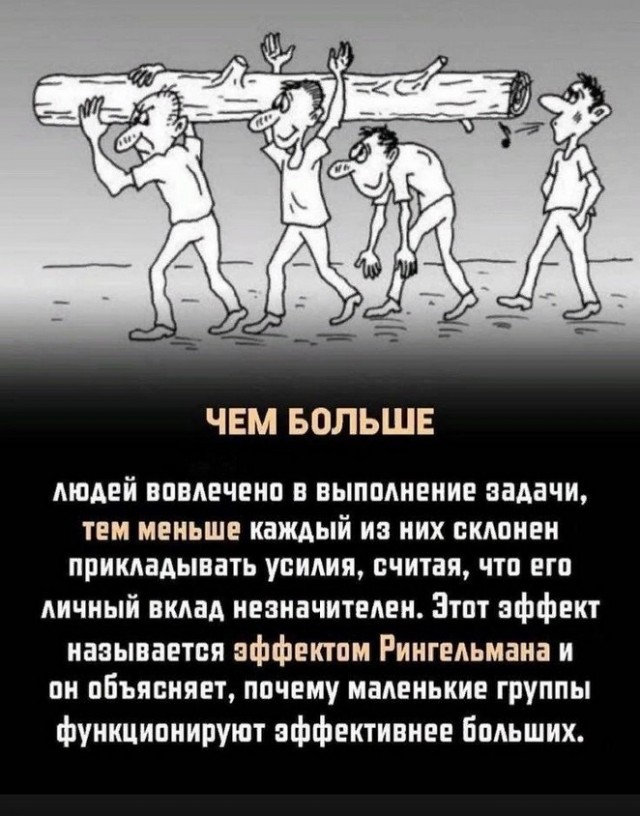 Так себе картинки 06.12.25