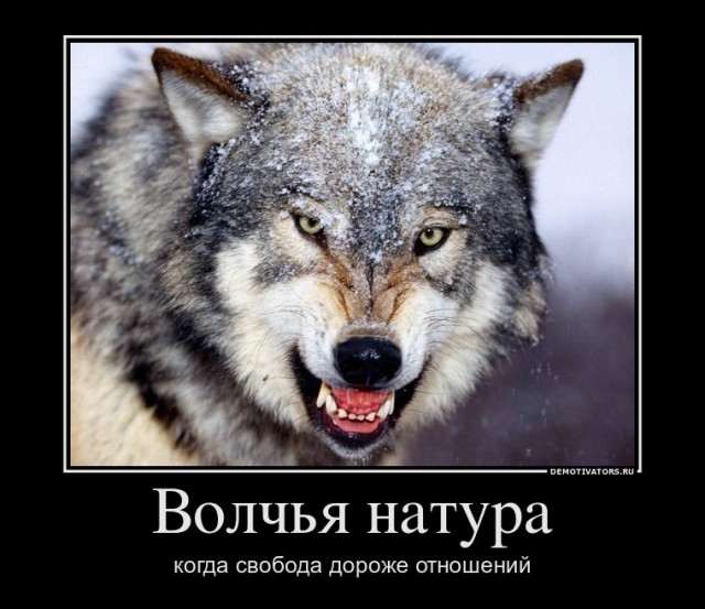Склад баянов