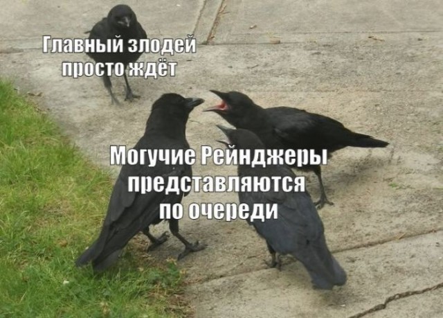 Картинки для деградации 173 (разной степени свежести)