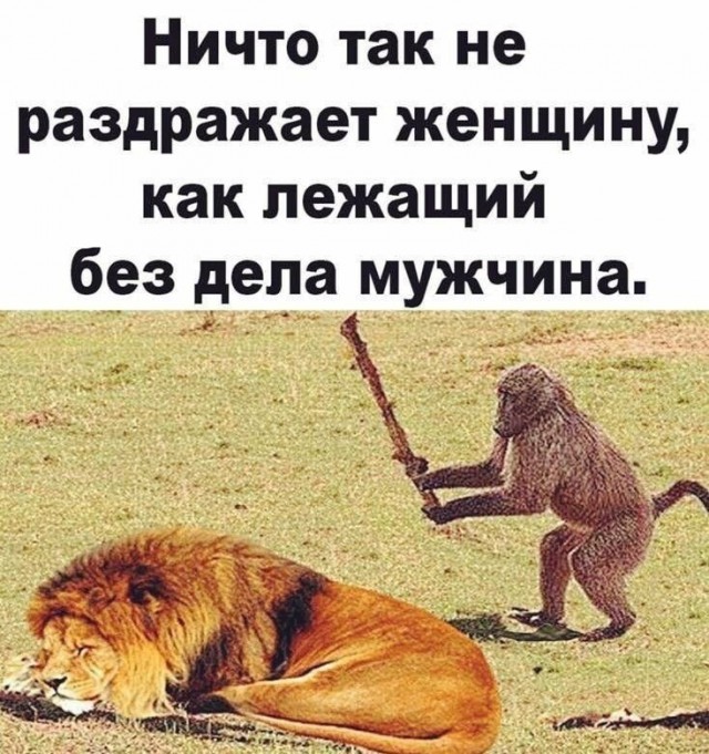 Накуя вообще будить мужа в 5 утра из-за сраного такси?