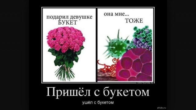 Мужчины приходят неподготовленными на свидания — без цветов, без комплиментов и с вялым писюном