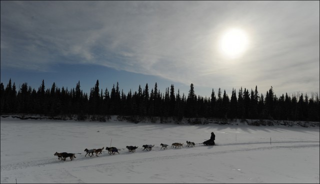 Идитарод 2010 - ледяная гонка