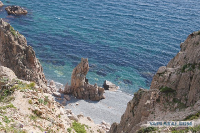 Природа Приморского края