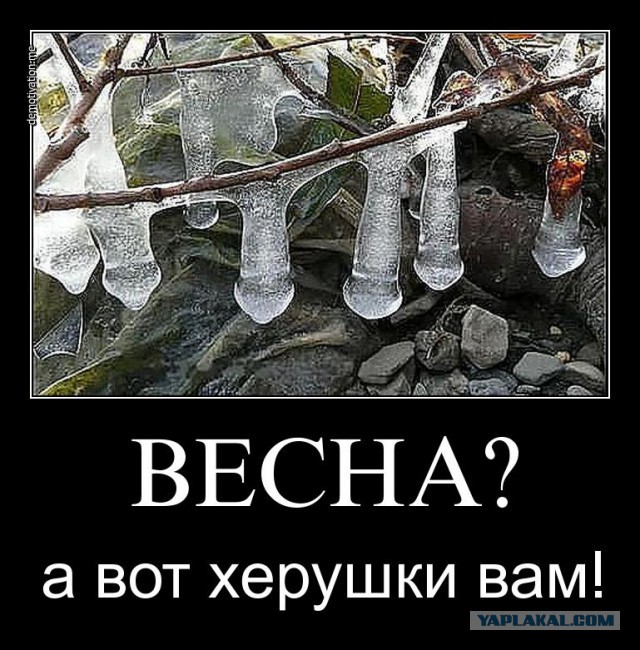 Весна?