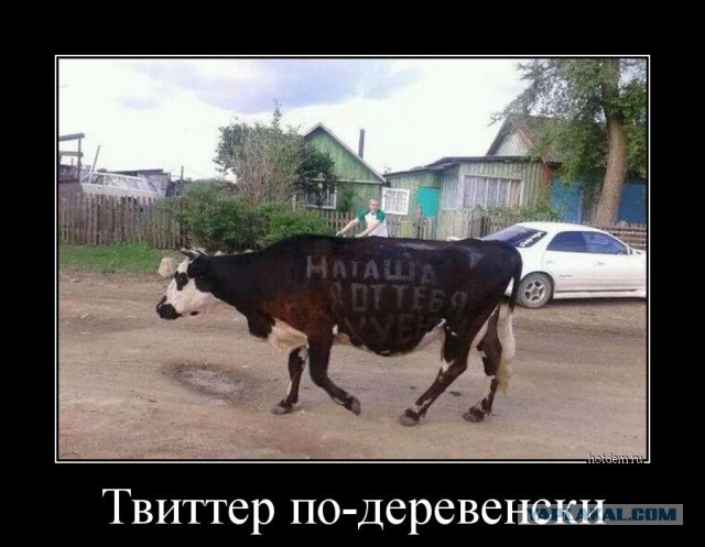 Моя подборка веселенькой мути